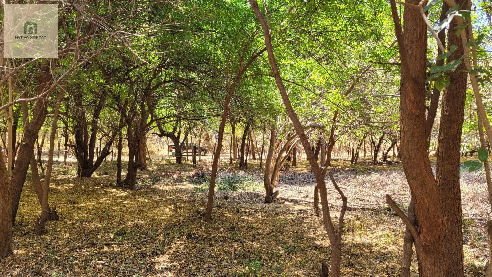 Exclusive Lots Near Casna Sforza - Puerto Escondido