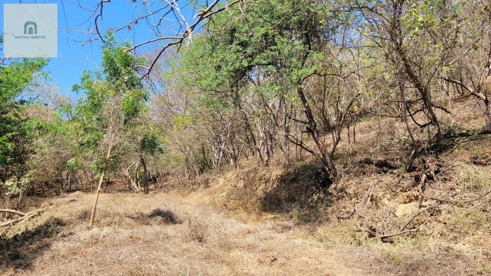 Exclusive Lots Near Casna Sforza - Puerto Escondido