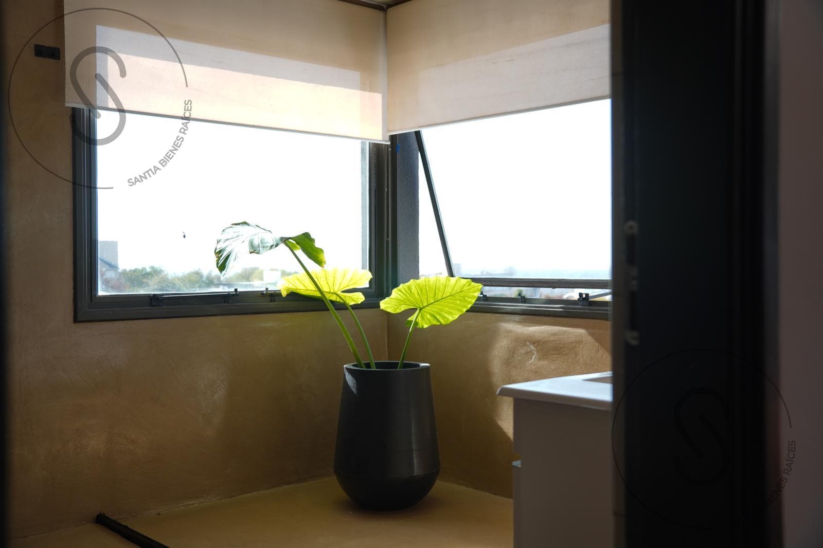 HOUSE FOR SALE IN LA RUFINA: 4 BEDROOMS, SWIMMING POOL
