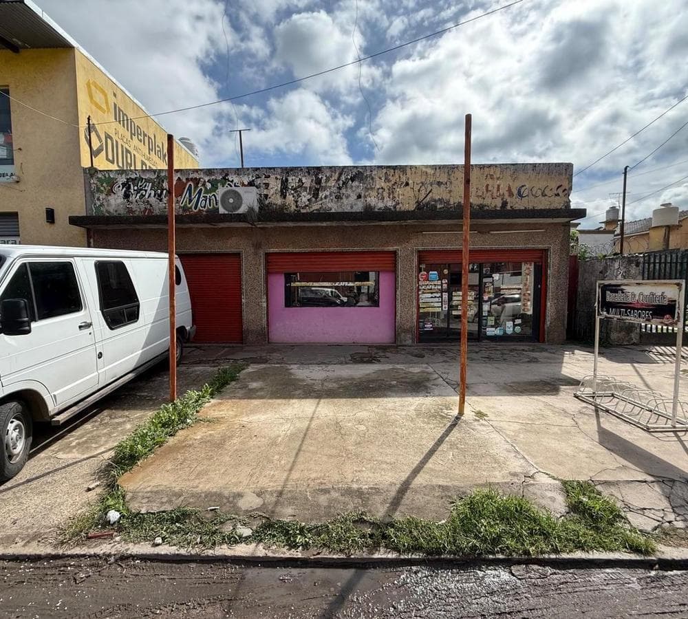 Investment Opportunity: 3 Commercial Units Plus a Residence, Total Area Over 536 m²