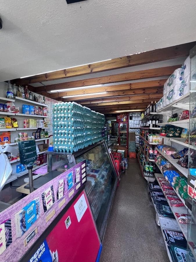 6-room house with a garage and 2 commercial spaces