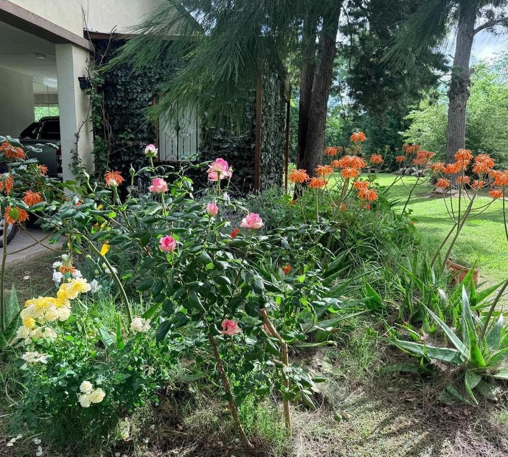 House for sale in Lomas de San Francisco, 1,500 m² lot.