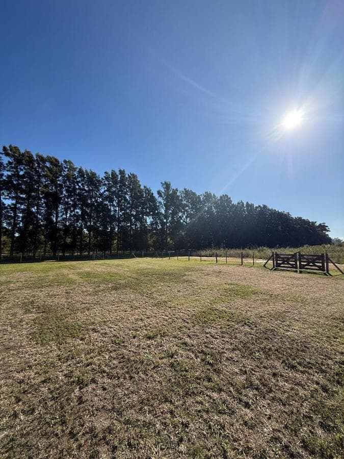 Lots with financing arranged directly by Diego Gaynor, no maintenance fees: 827m