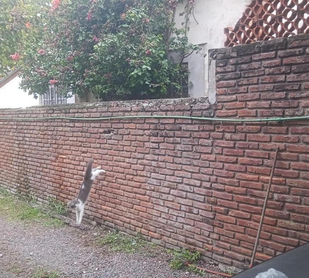 GARAGE FOR SALE