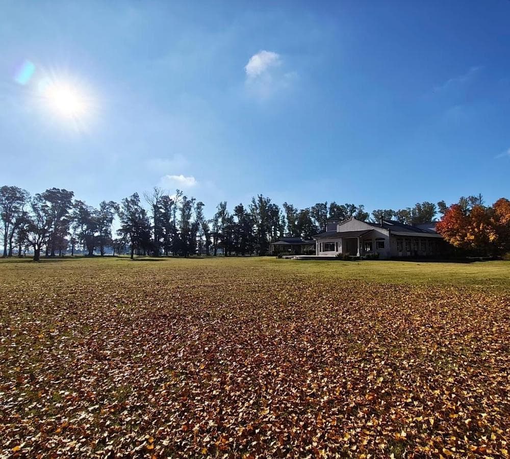 LAND FOR SALE IN SAN ANDRES, VILLA RUIZ
