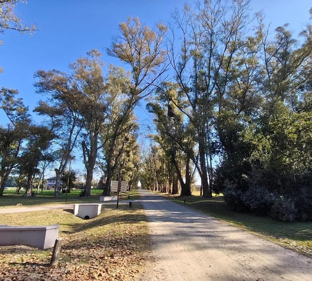 LAND FOR SALE IN SAN ANDRES, VILLA RUIZ