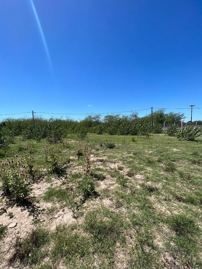Last Lots Available in Chivilcoy: A Rapidly Growing Neighborhood!