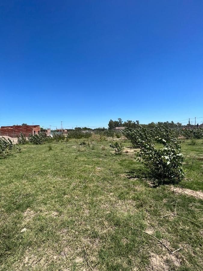 Last Lots Available in Chivilcoy: A Rapidly Growing Neighborhood!