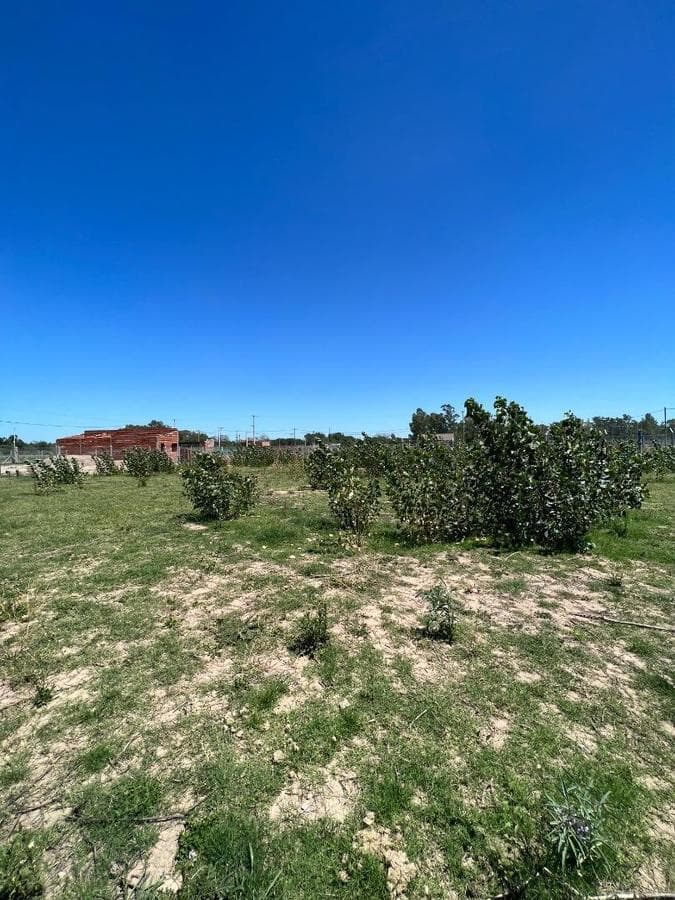 Last Lots Available in Chivilcoy: A Rapidly Growing Neighborhood!