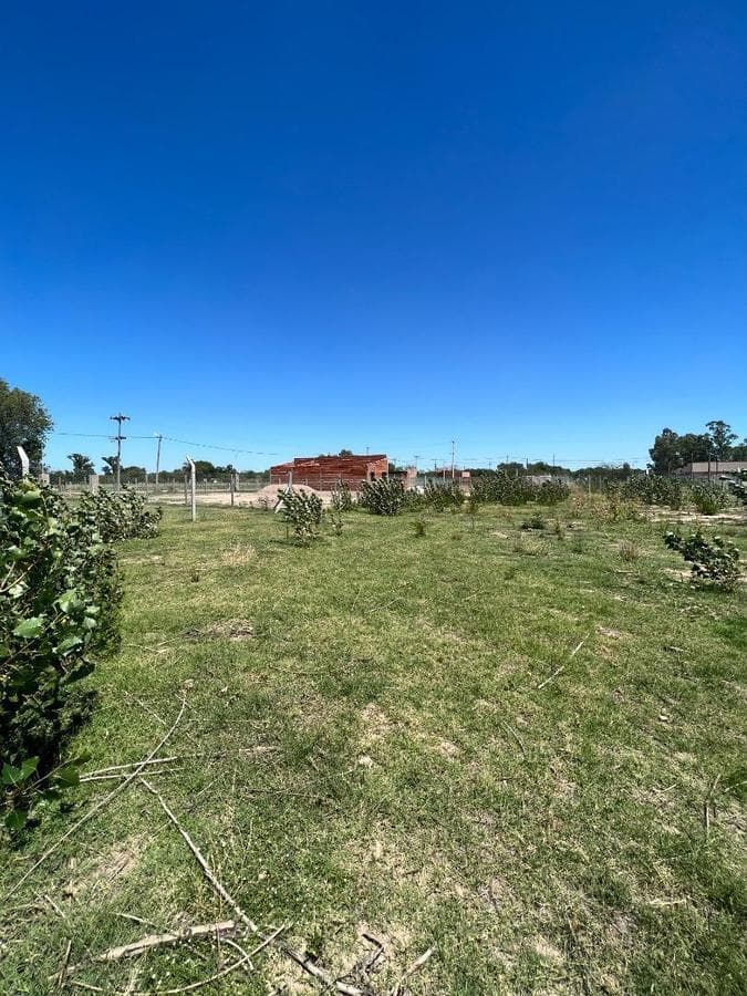 Last Lots Available in Chivilcoy: A Rapidly Growing Neighborhood!