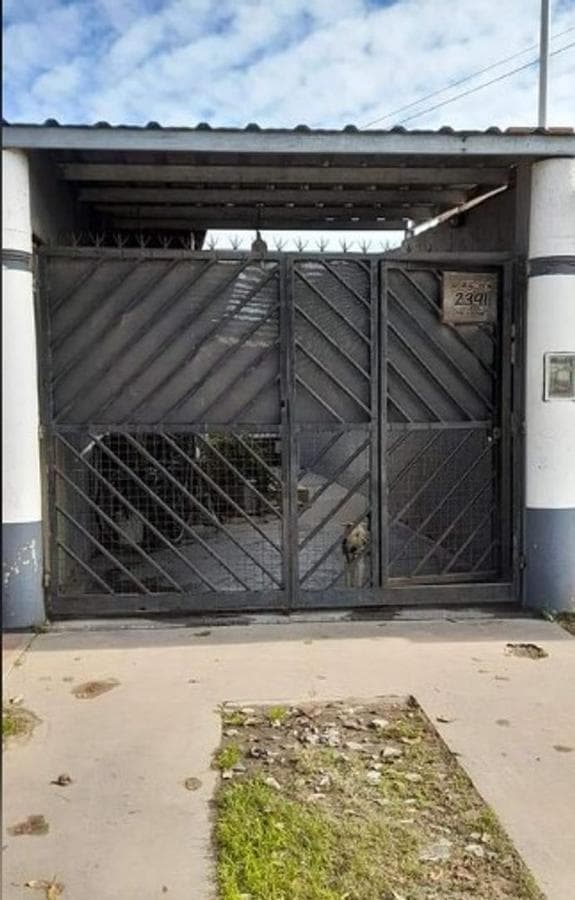 Opportunity: Two Houses in Moreno