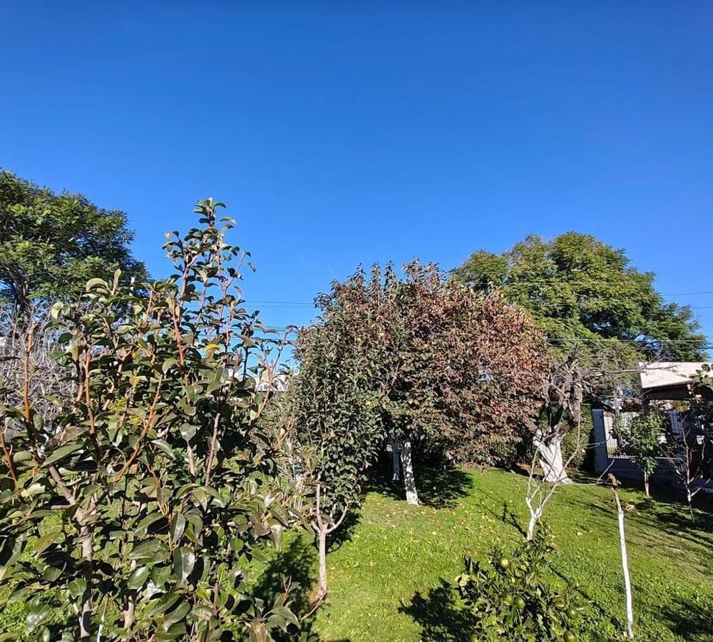 HOUSE FOR SALE IN THE ZAPIOLA NEIGHBORHOOD
