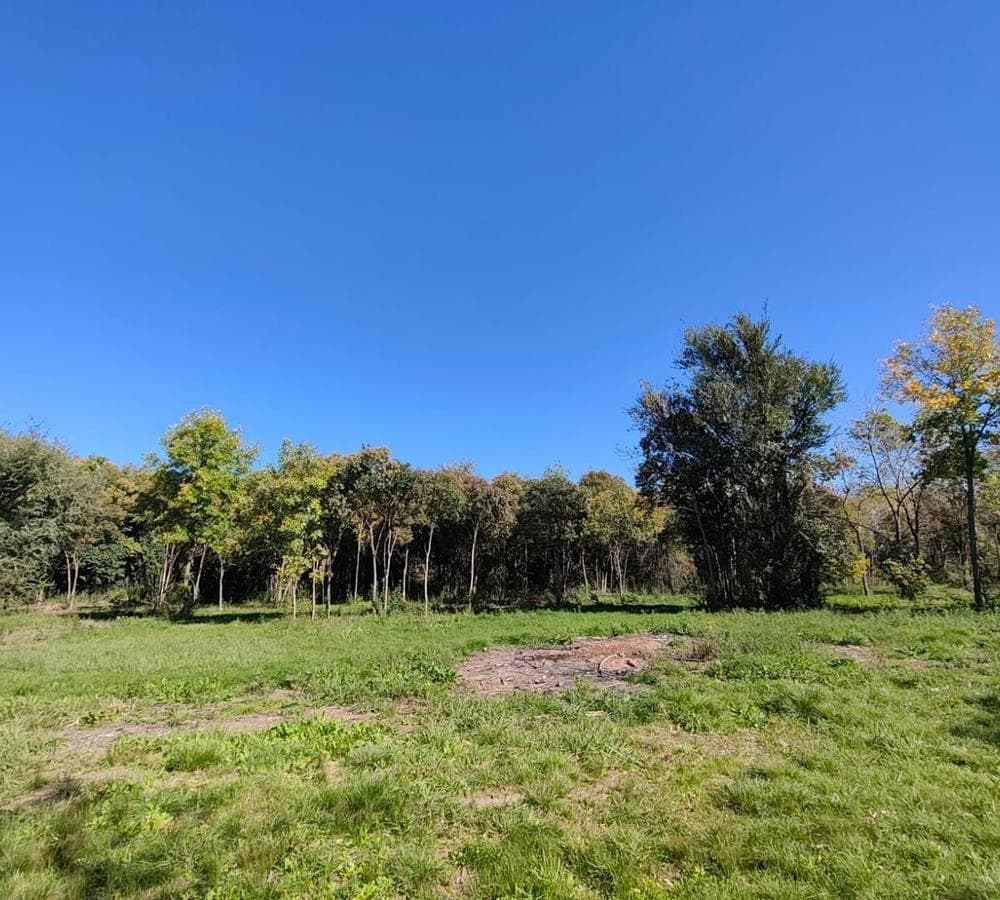 LAND FOR SALE IN LUJÁN WITH BEAUTIFUL TREES