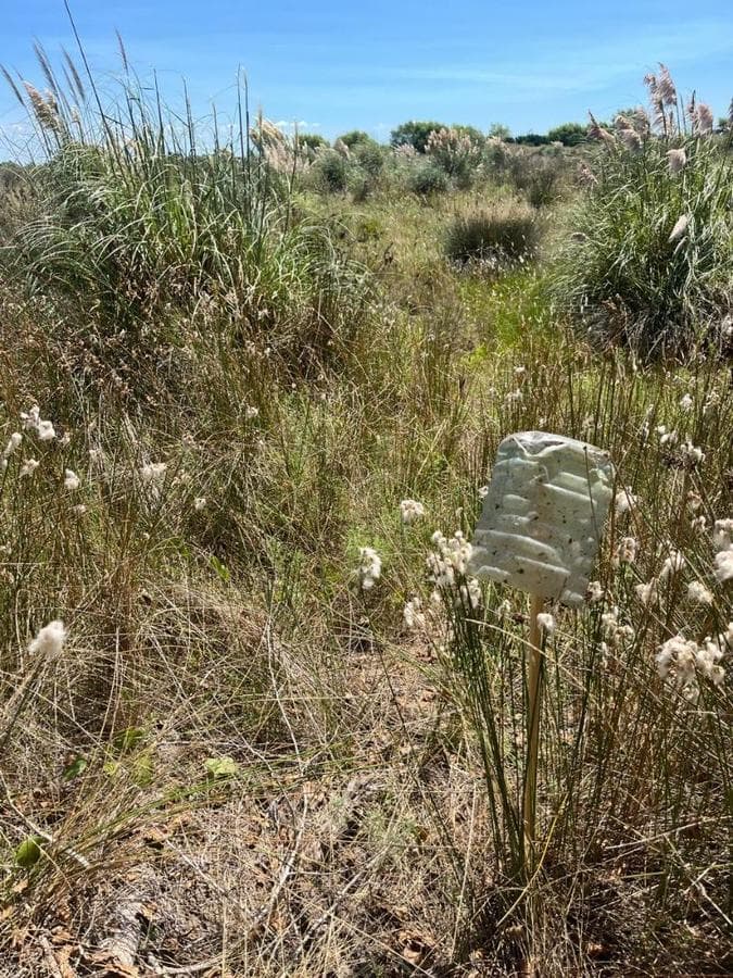 Lot in Nueva Atlantis, 10 Blocks from the Ocean
