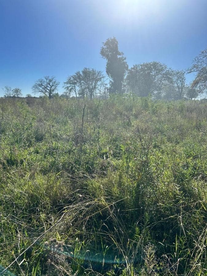 Land for Sale in Agote Mercedes