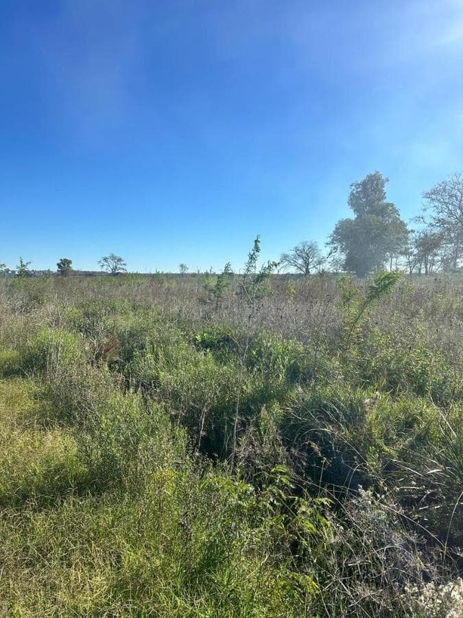 Land for Sale in Agote Mercedes