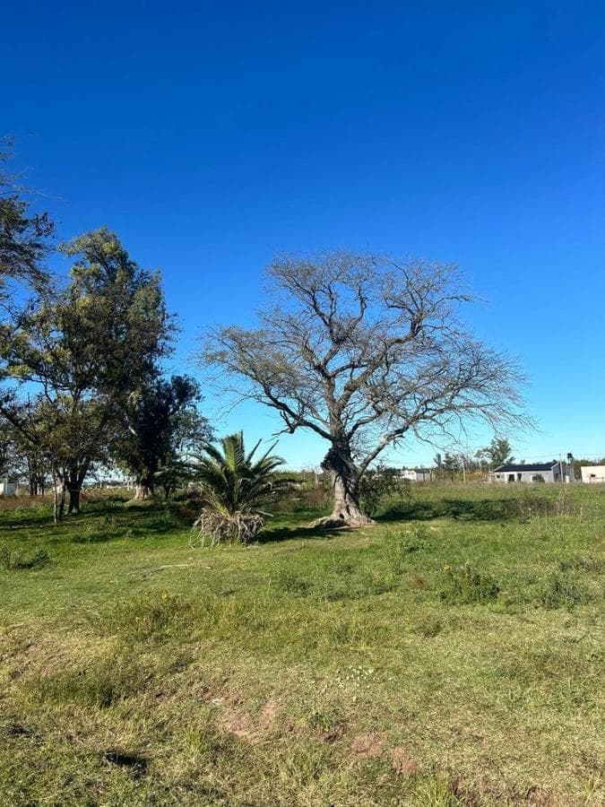 Land for Sale in Agote Mercedes