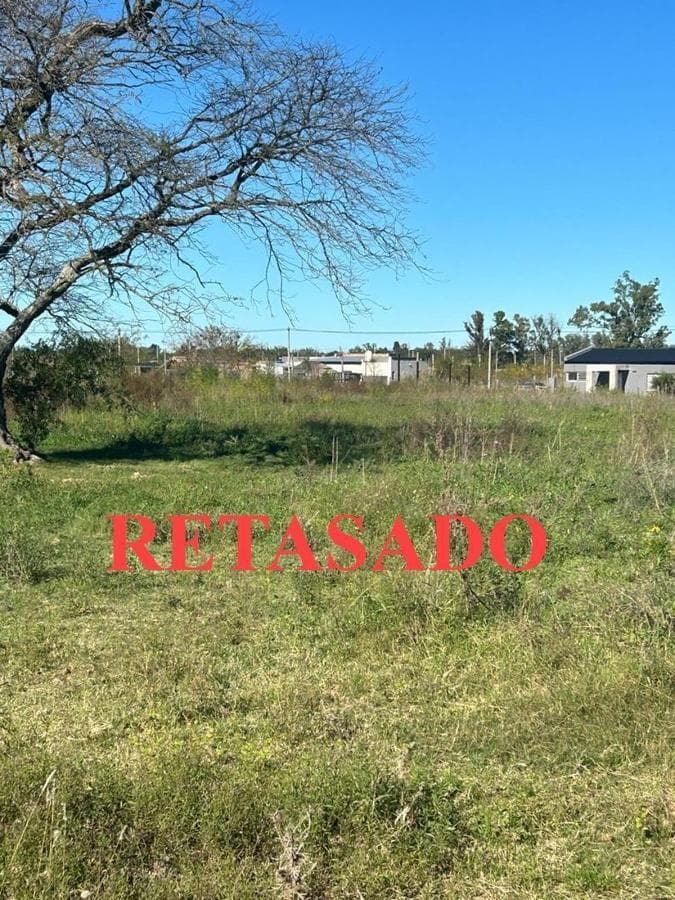 Land for Sale in Agote Mercedes