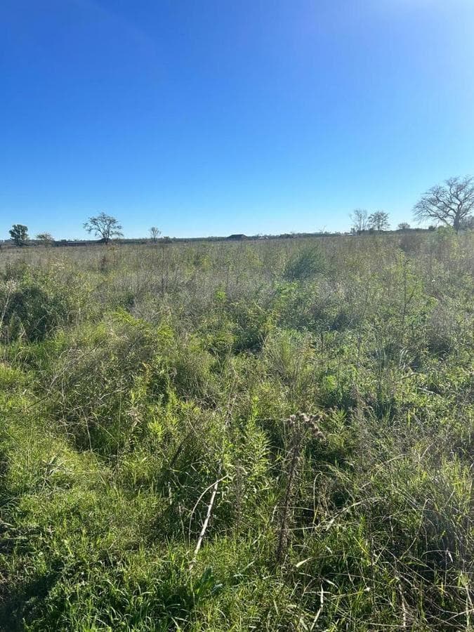 Land for Sale in Agote Mercedes