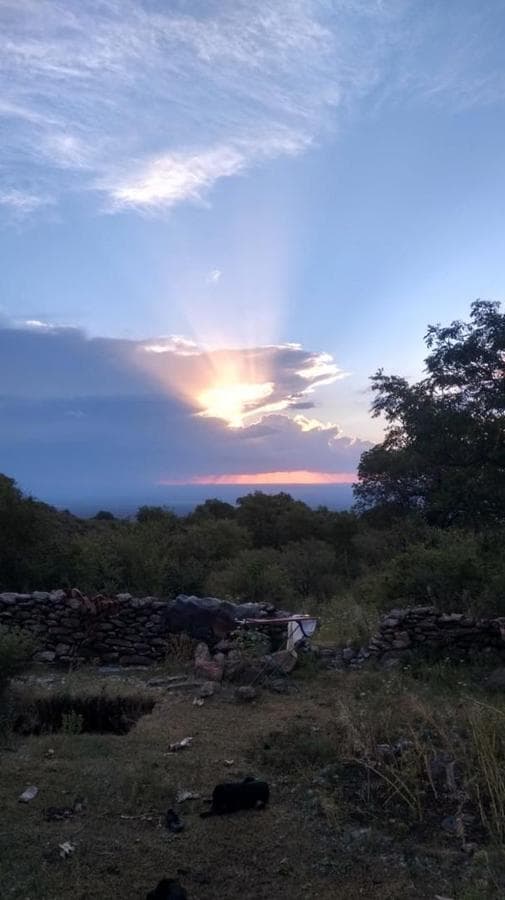 Land in Cruz de Caña - Córdoba