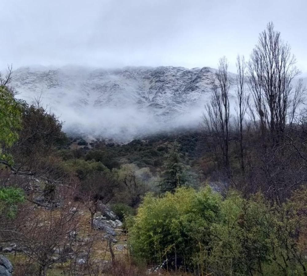 Land in Cruz de Caña - Córdoba