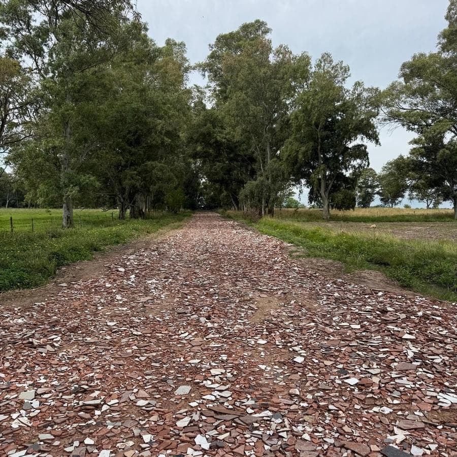 Opportunity: 637 m² Lot