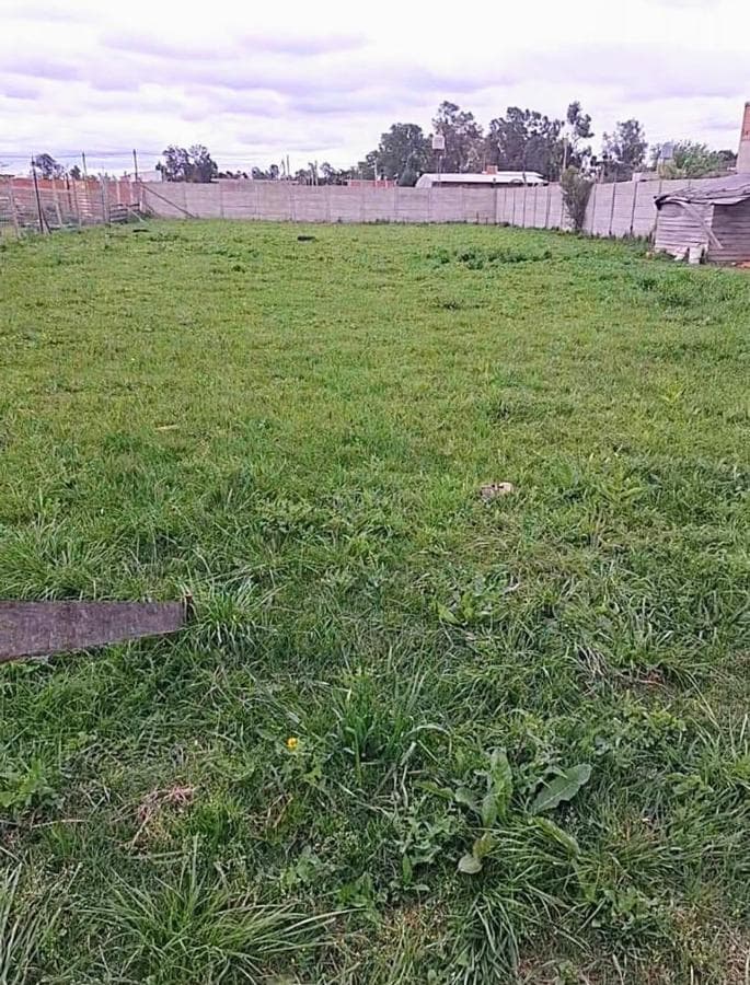TWO 1,000-SQUARE-METER LOTS FOR SALE ON PRESIDENTE PERÓN STREET IN GLEW