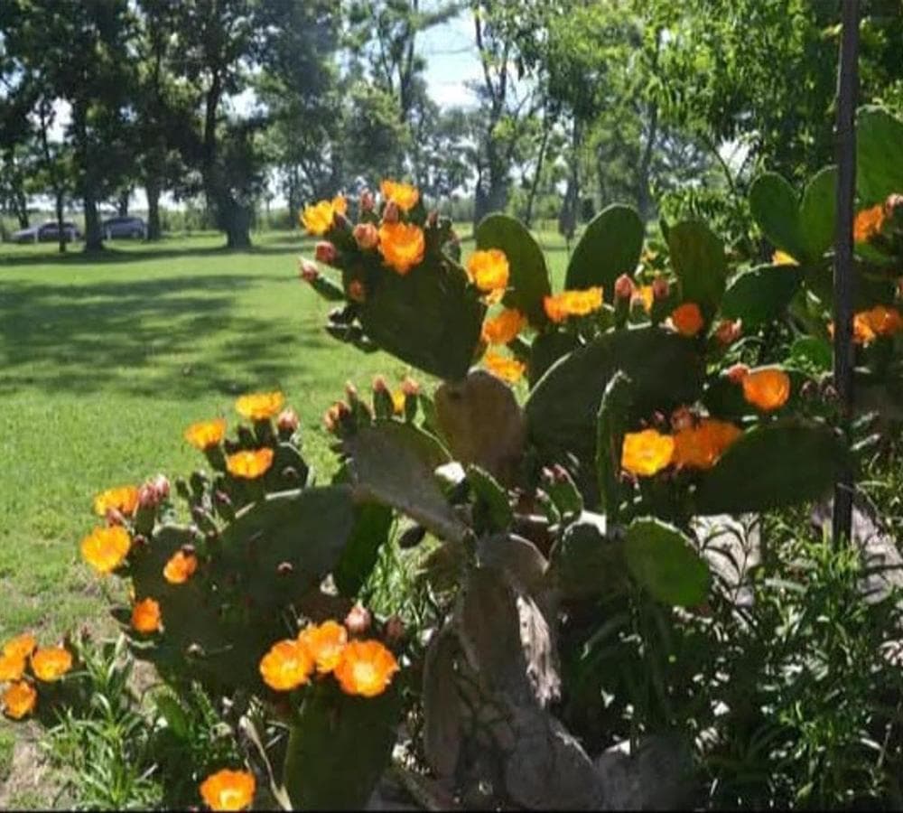 HOUSE FOR SALE: 5-ROOM HOME AT LAS HOJAS COUNTRY CLUB, MARCOS PAZ
