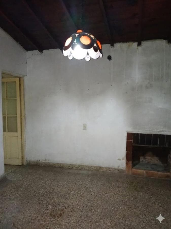 House in Need of Renovation with Large Lot