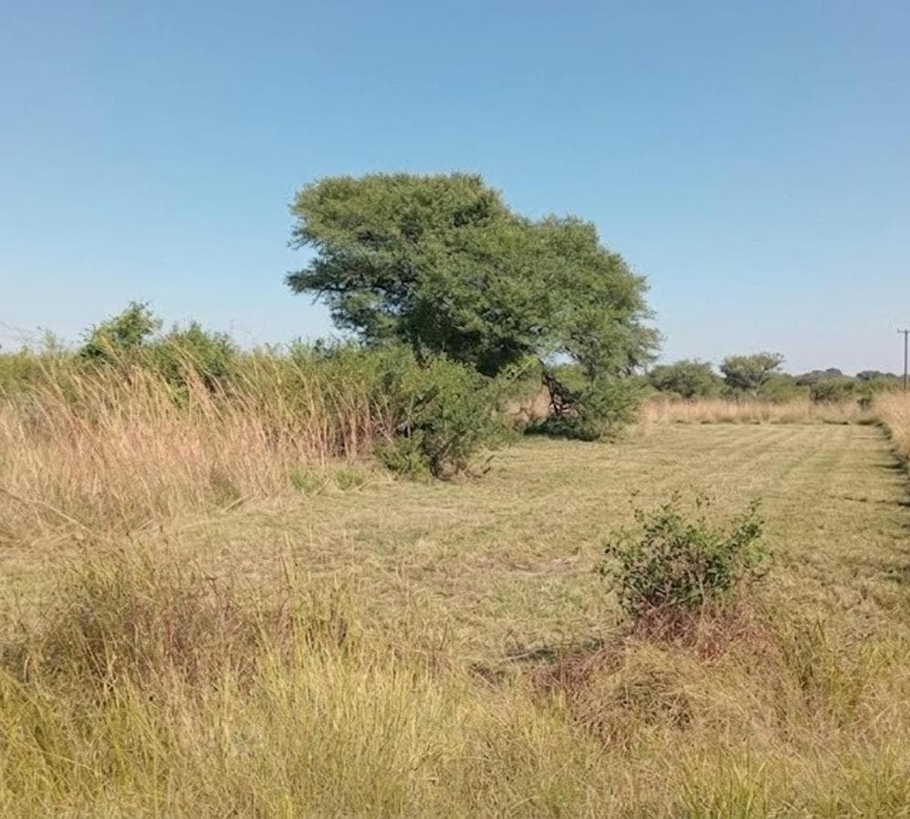 Lot in Corrientes Bancario, 20x50, Route 12 and Route 98, 1,000 square meters