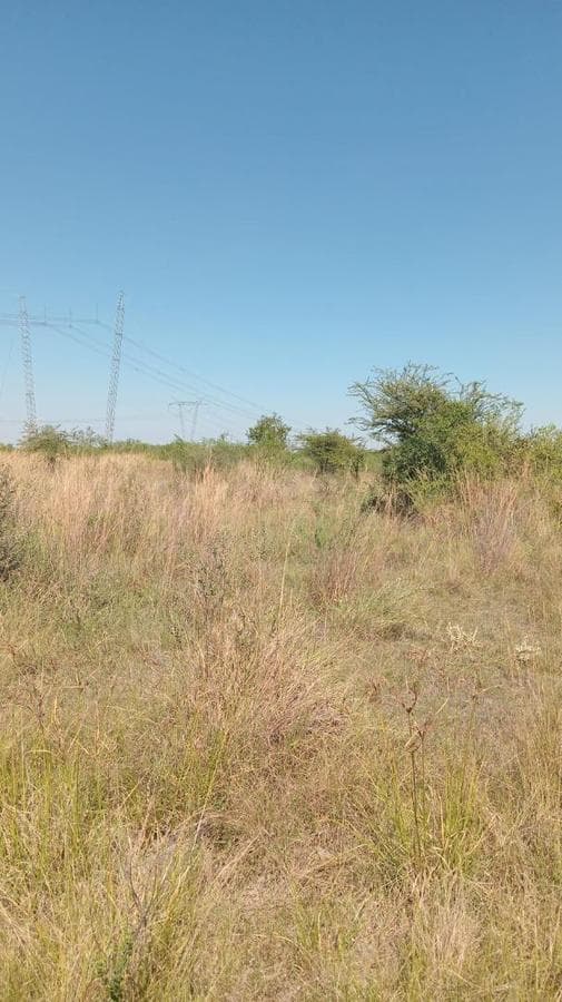 Lot in Corrientes Bancario, 20x50, Route 12 and Route 98, 1,000 square meters
