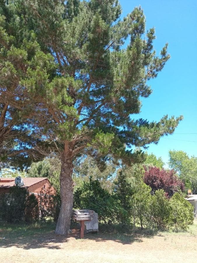 Aguas Verdes Lot
