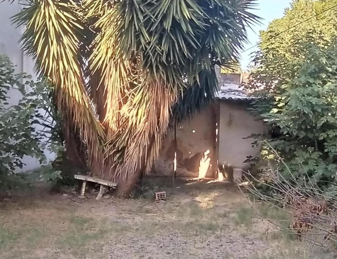 HOUSE IN NEED OF RENOVATION/DEMOLITION. EXCELLENT LOCATION IN EL PALOMAR