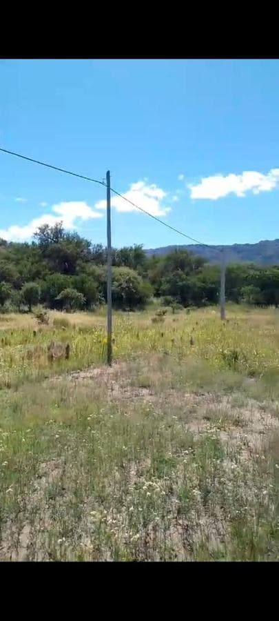 1,000-square-meter lots in Cortaderas with electricity, water, and title deeds