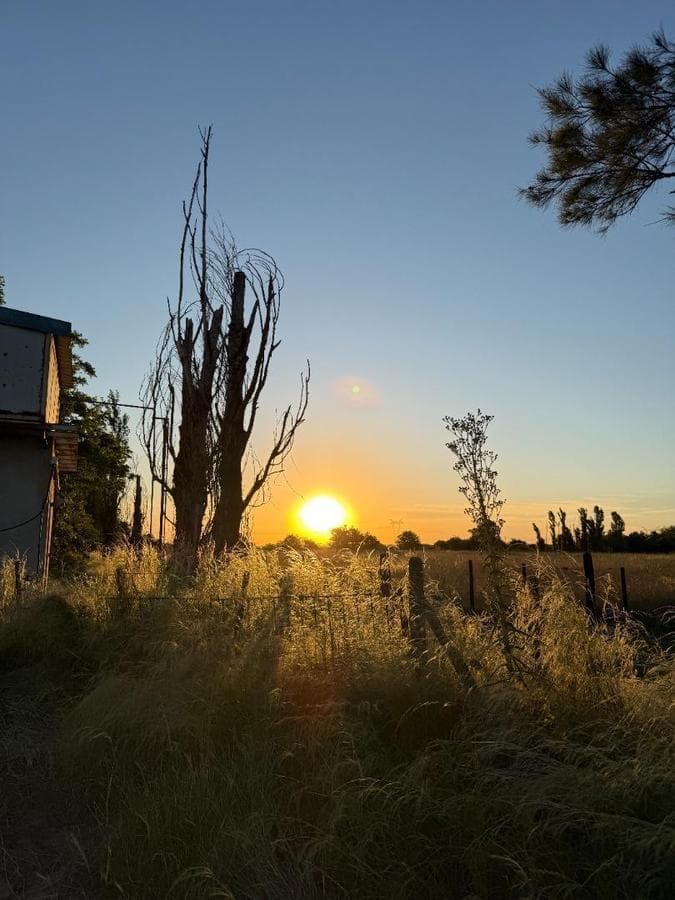 Diego Gaynor Lot for Sale, Rural Town