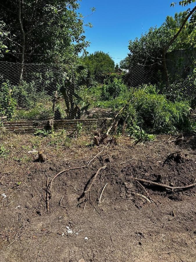 LAND IN PUEBLO NUEVO WITH DEED