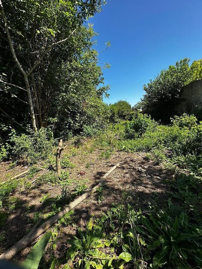 LAND IN PUEBLO NUEVO WITH DEED