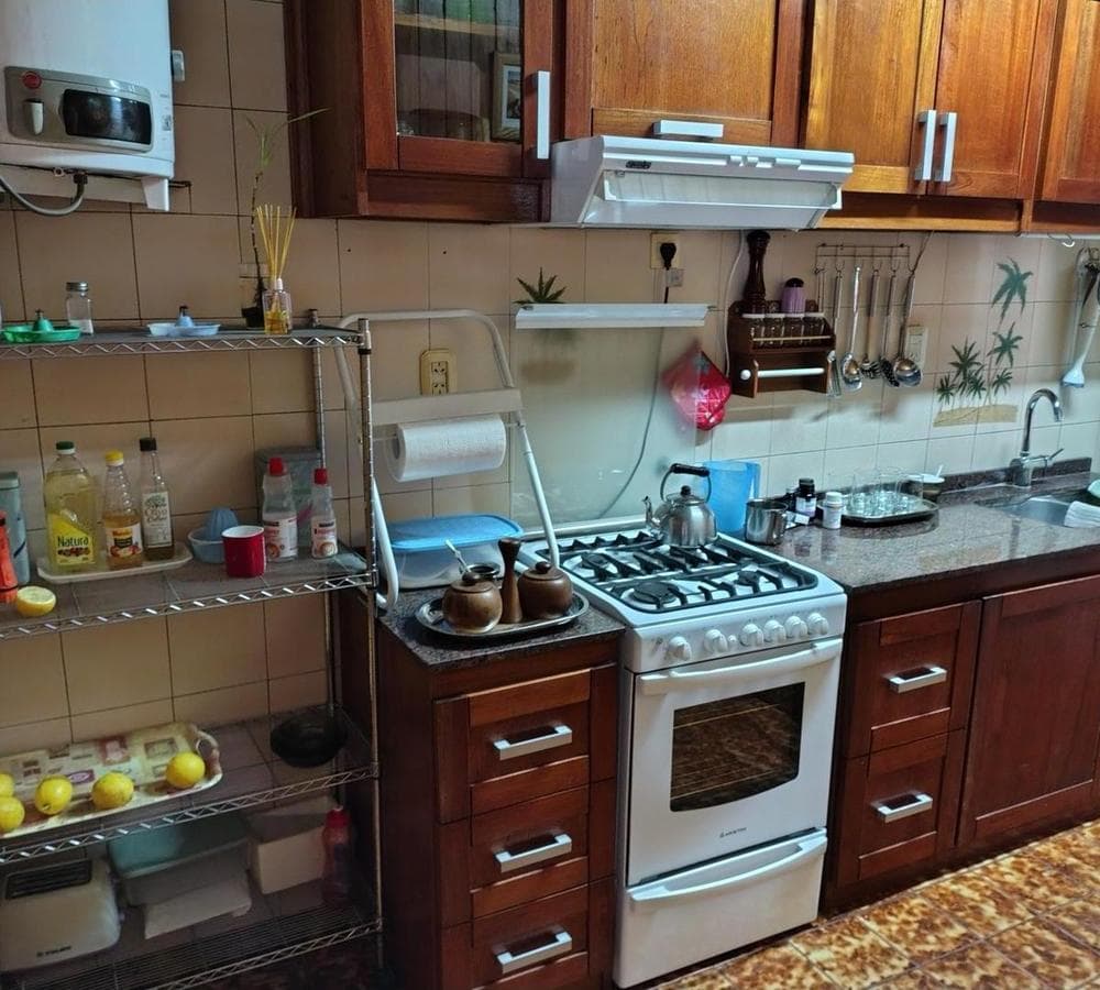 House in the Back, Commercial Spaces, and Apartment in PTA Alta—Ideal for Investors
