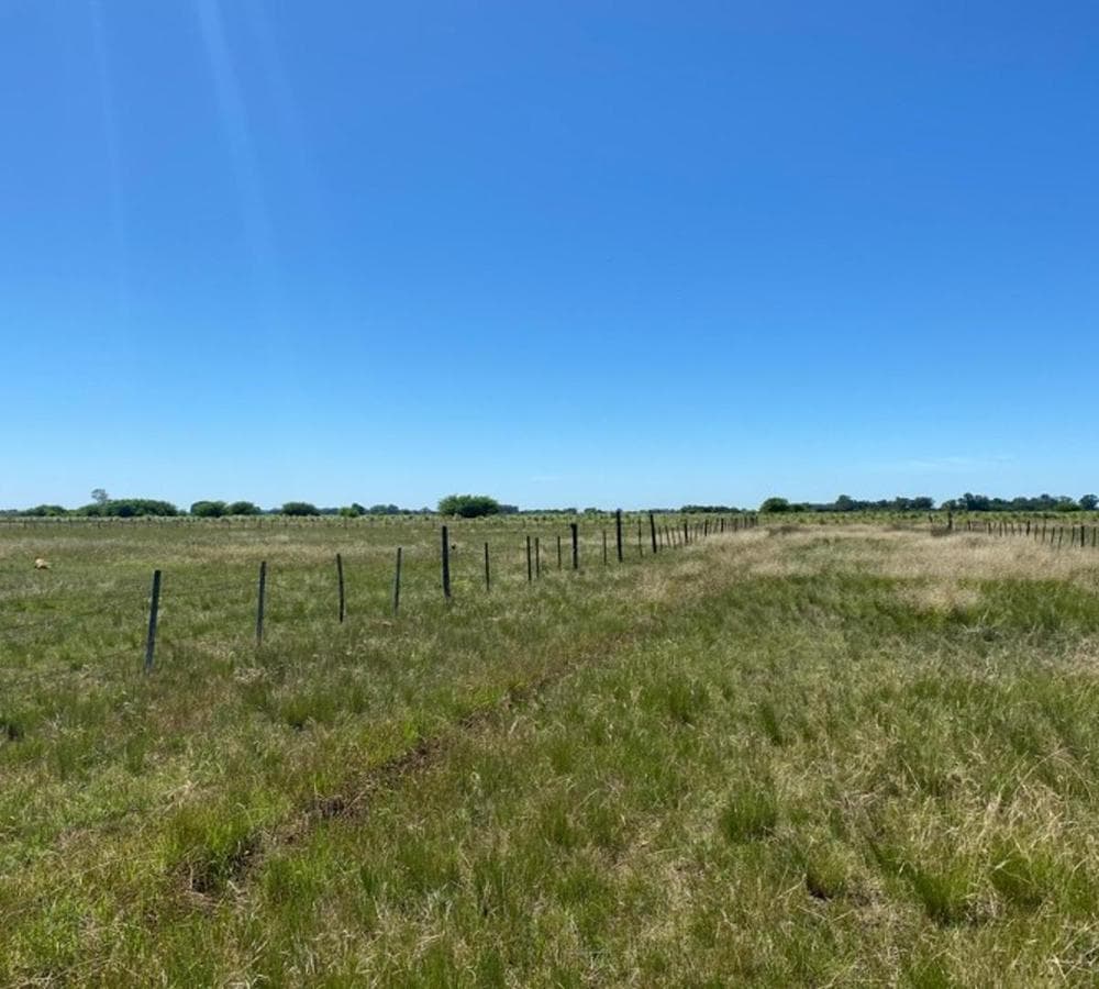 100x120 m plot of land. Marcos Paz. Ideal for a country home.
