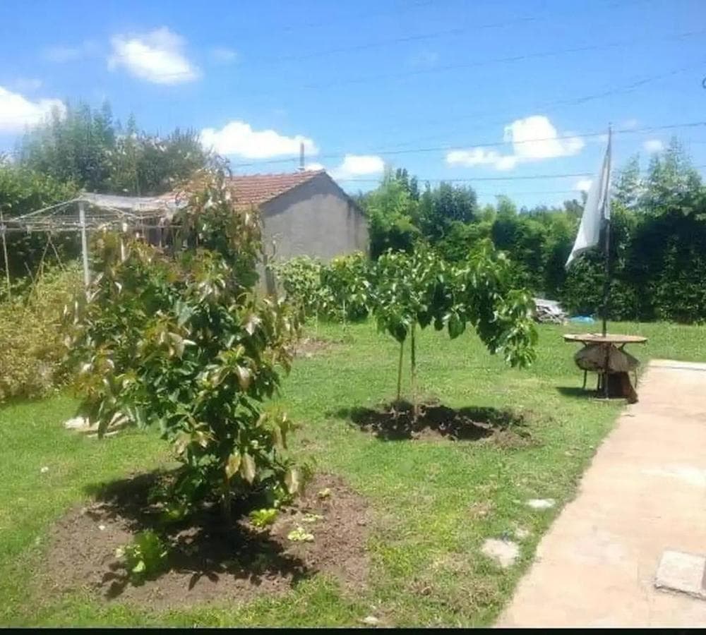 Impeccable Lot in Ituzaingo Norte, 10 x 20.7
