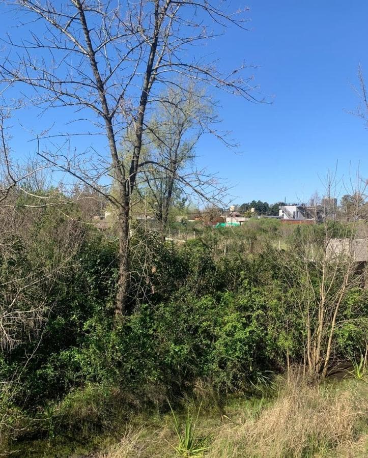 LAND IN GENERAL RODRIGUEZ