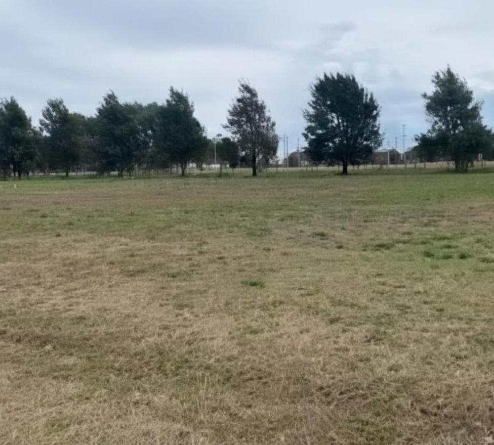 LAND IN LUJÁN IN EL ESPINILLO