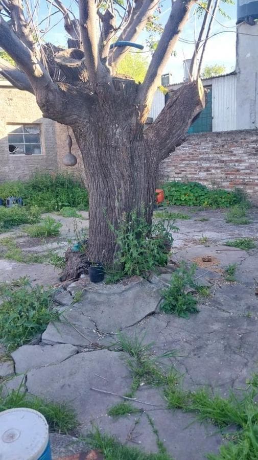 PROPIEDAD MULTIFAMILIAR IDEAL para 2 FAMILIAS en LUJAN.