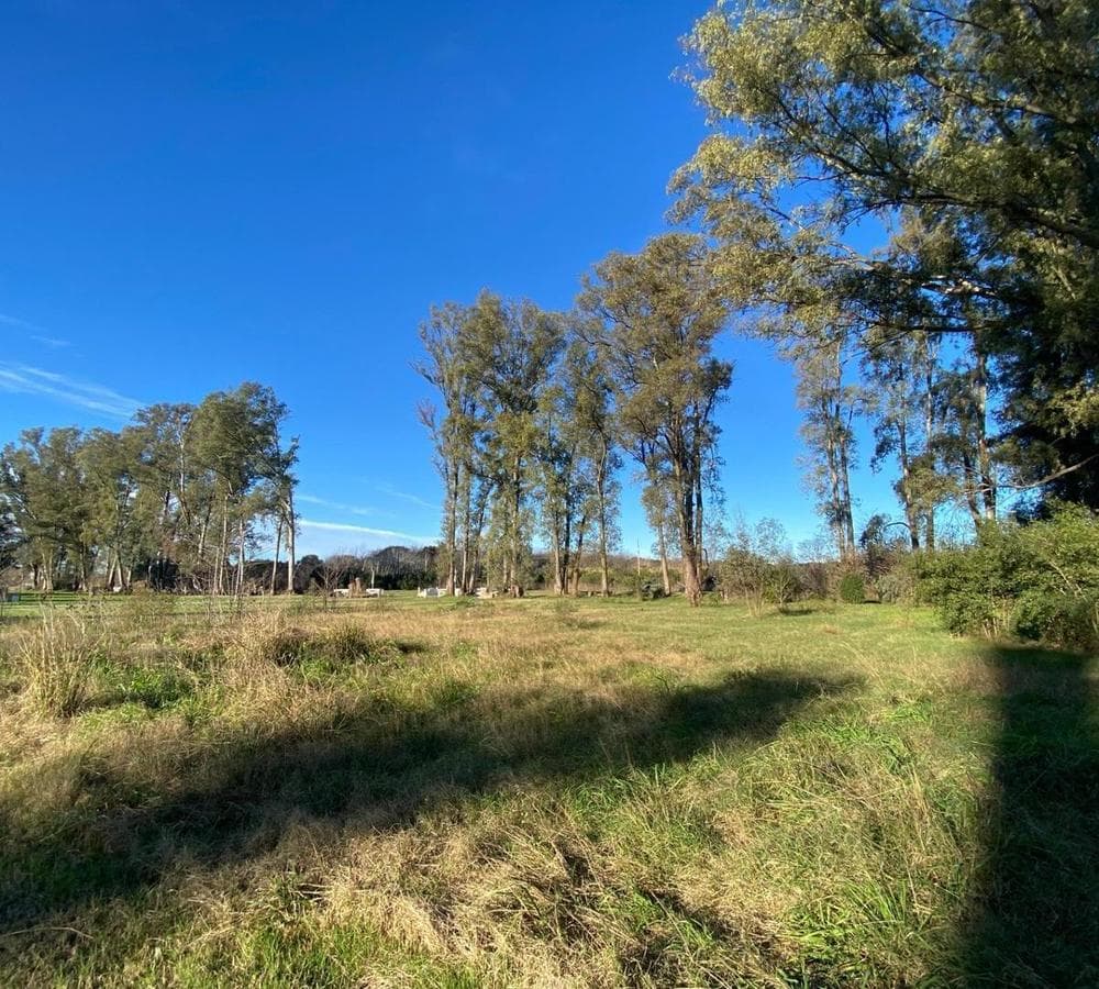 Lot for Sale in Mercedes with Development Potential