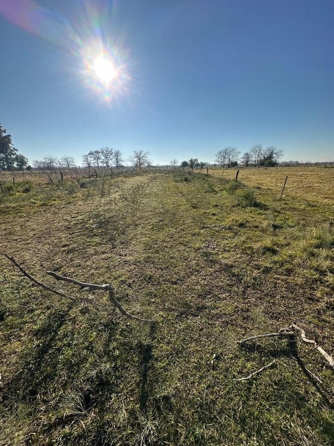 LOT IN GOWLAND—IDEAL FOR INVESTORS