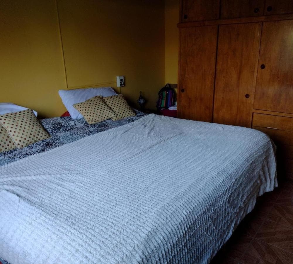 FOR SALE: Country-style house with pool + 3-room apartment