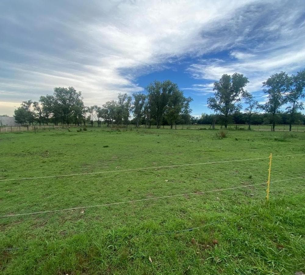 LAND FOR SALE IN MERCEDES ON ROUTE 5