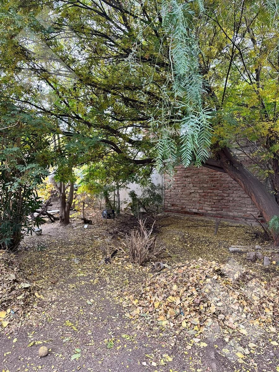 Land for Sale in the La Sirena Neighborhood