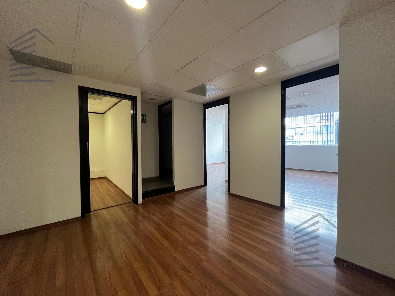 Office for Rent—Anzures - 213 m2 - 11th Floor