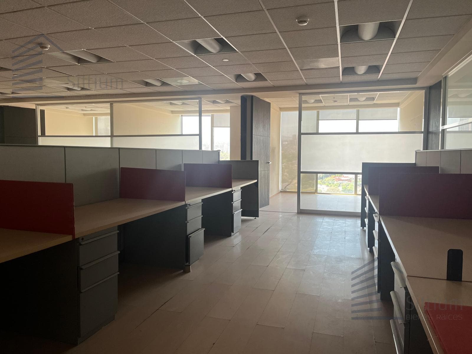 Office for Rent - Paseo de la Reforma - 325 m² - 10th Floor